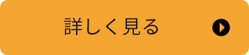 詳しく見る